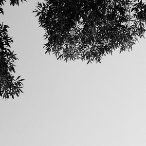 性妇❌❌❌❌❌❌JAPPT朝喷
